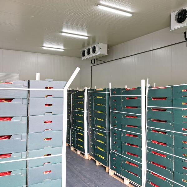 Food storage flooring done with epoxy for easy cleaning and long-term performance, installed by Epoxy Flooring Guys Perth.